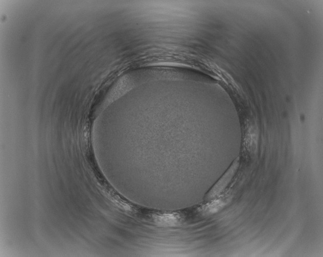 X0000067900513200604201338