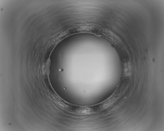 X0000067900514200604201338