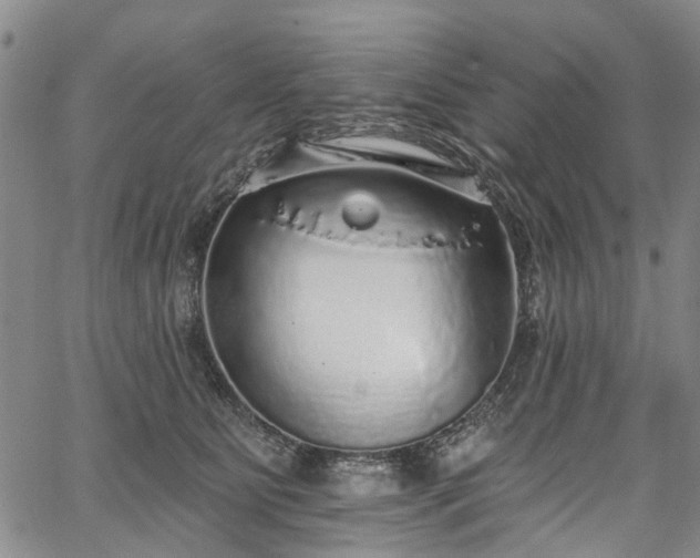 X0000067900515200604201338