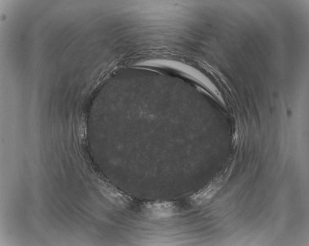 X0000067900517200604201338