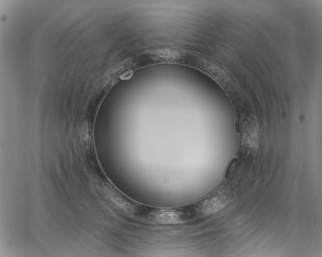 X0000067900518200604201338