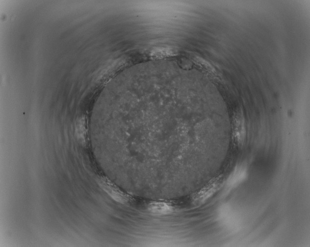 X0000067900519200604201338