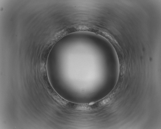 X0000067900521200604201338