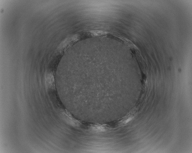 X0000067900523200604201338