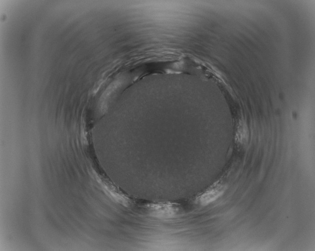 X0000067900524200604201338