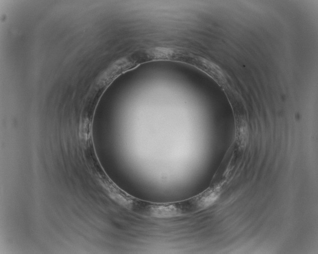 X0000067900525200604201338