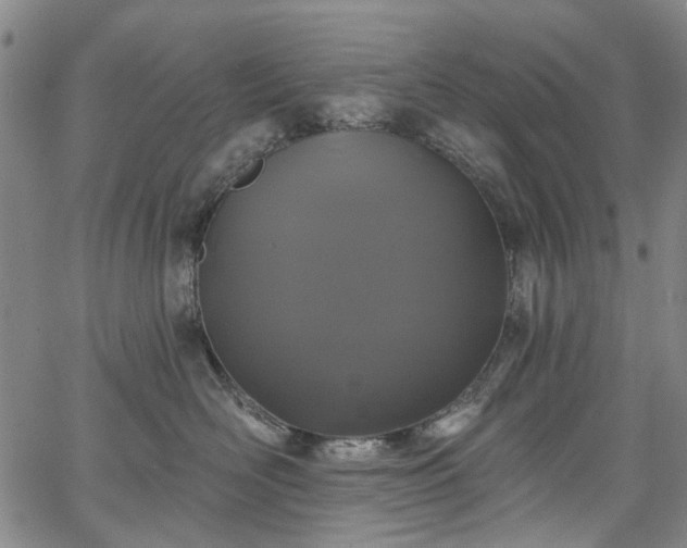 X0000067900526200604201338