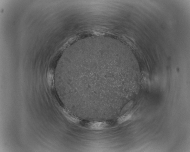 X0000067900527200604201338