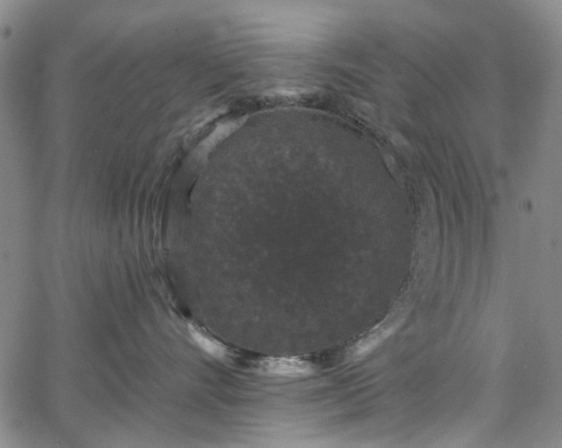 X0000067900528200604201338