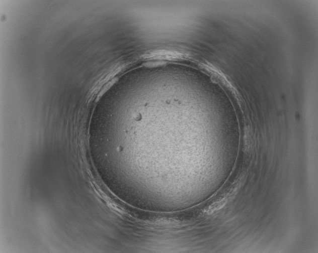 X0000067900529200604201337