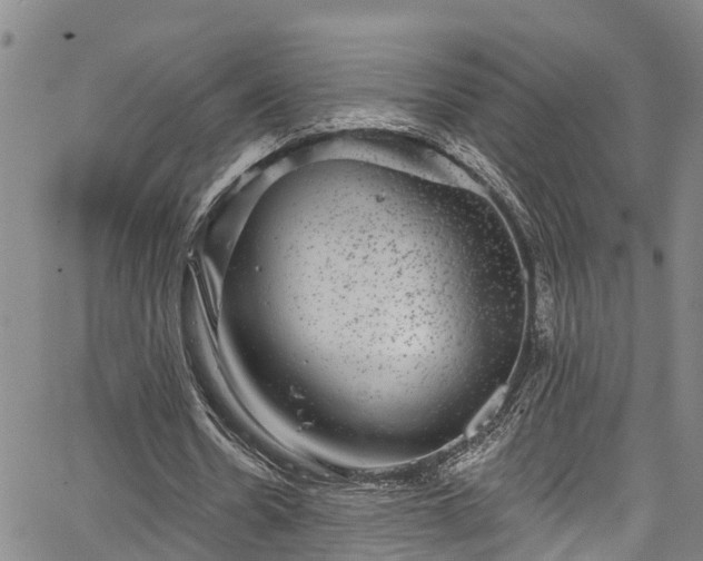 X0000067900530200604201337