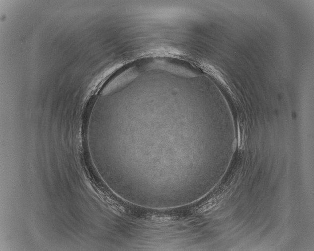 X0000067900531200604201337