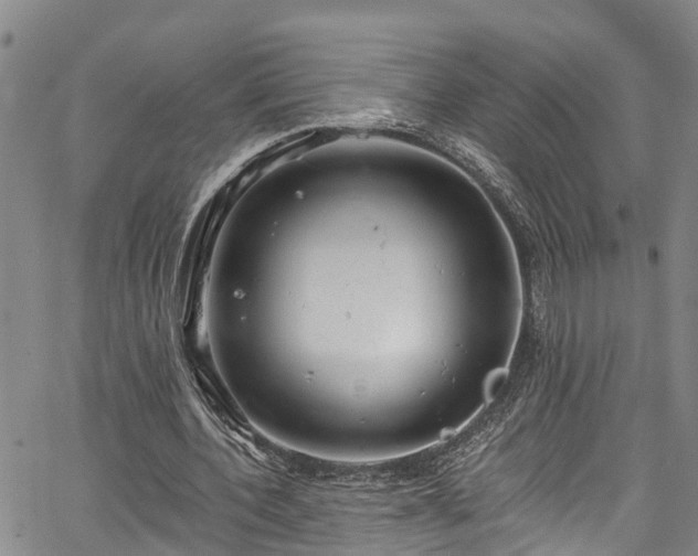 X0000067900532200604201337