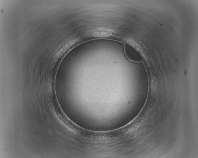 X0000067900533200604201337