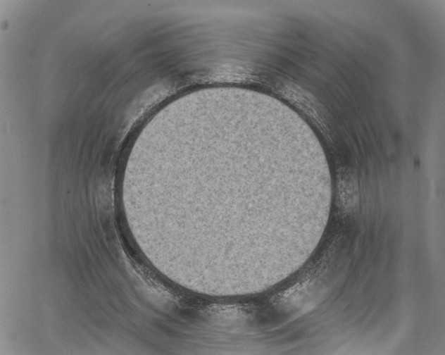 X0000067900534200604201337