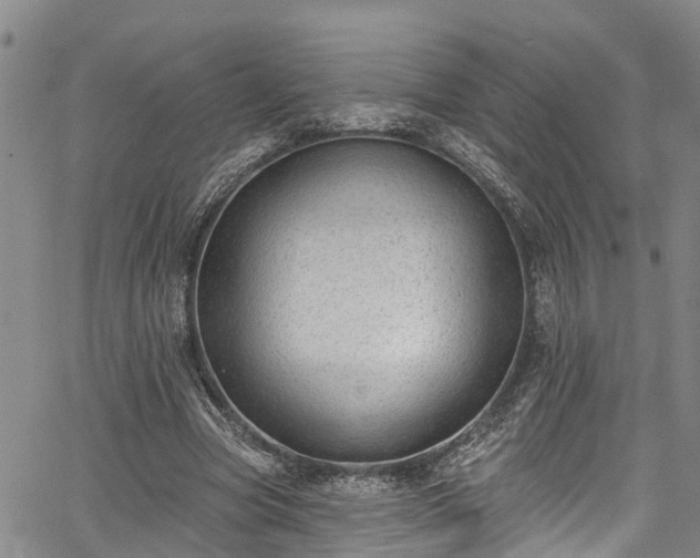 X0000067900537200604201337