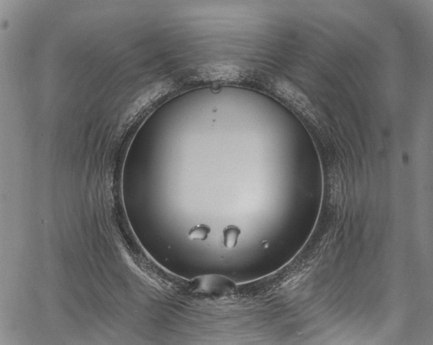 X0000067900538200604201337