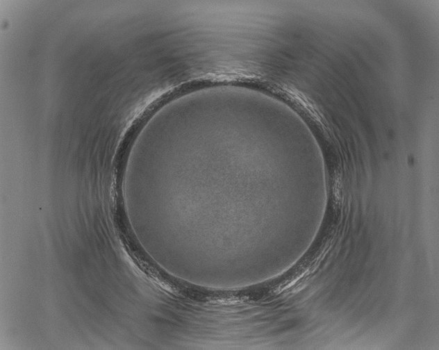 X0000067900540200604201337