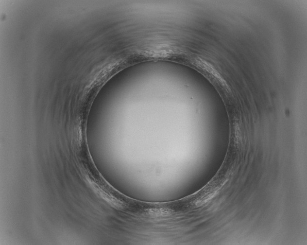 X0000067900541200604201337