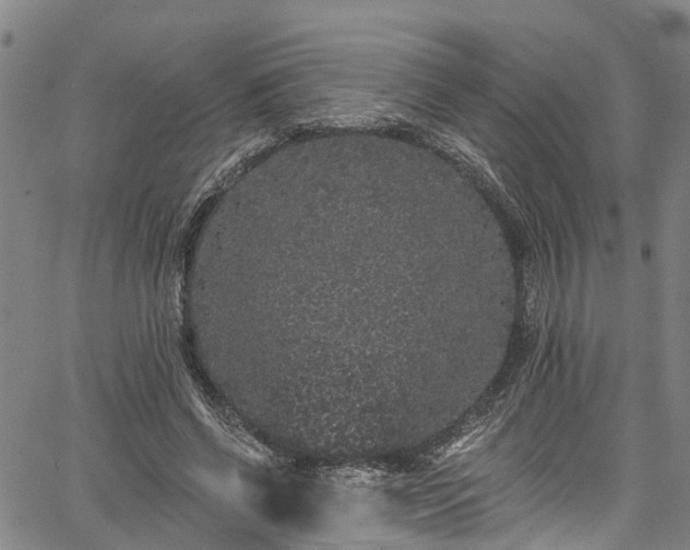 X0000067900542200604201337