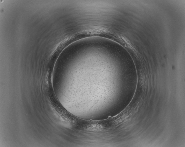 X0000067900543200604201337