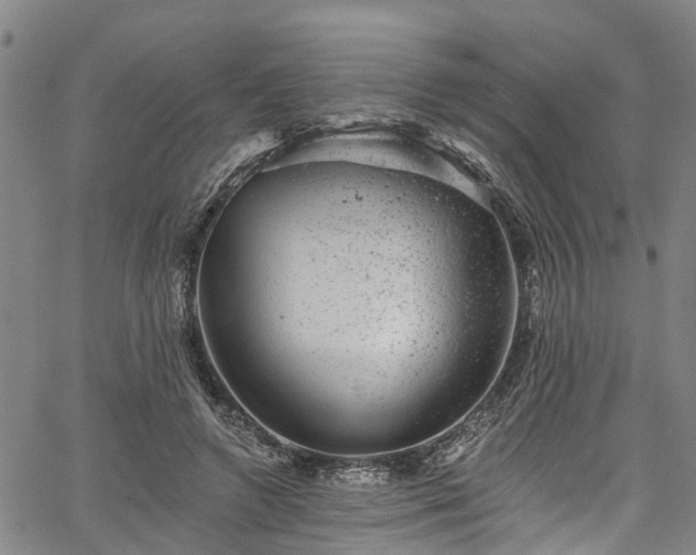 X0000067900546200604201337