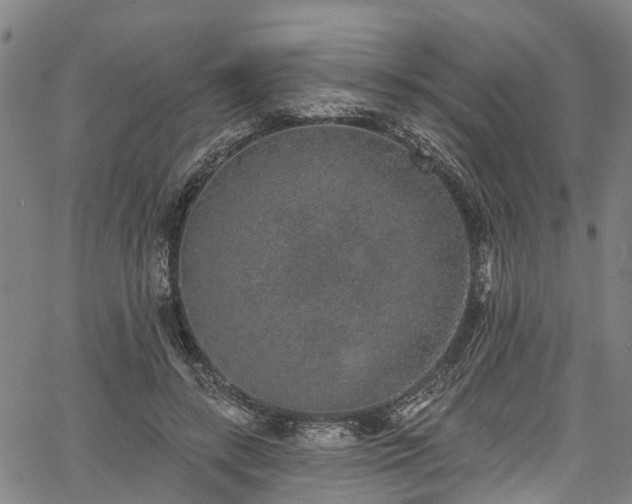 X0000067900547200604201337