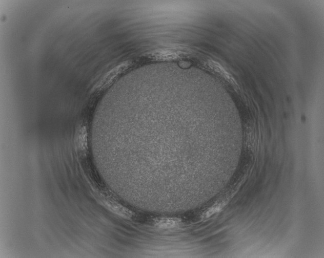 X0000067900549200604201337