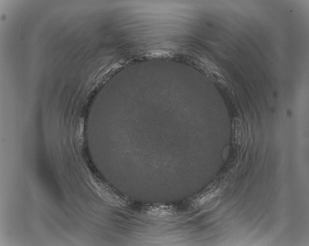 X0000067900550200604201337