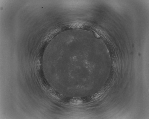 X0000067900551200604201337