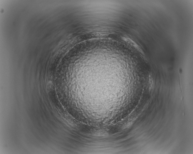 X0000067900553200604201337