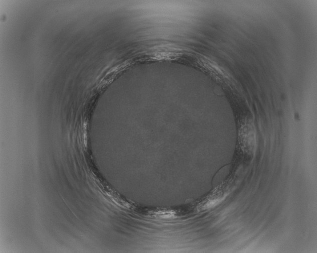 X0000067900554200604201337