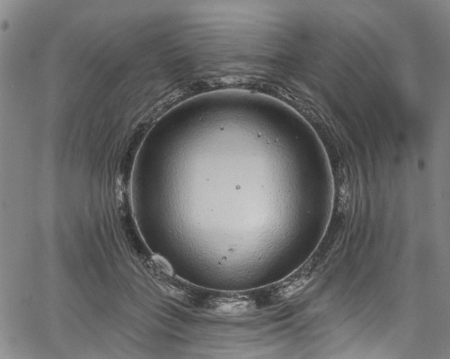 X0000067900555200604201337