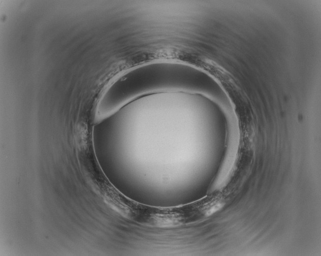 X0000067900556200604201337