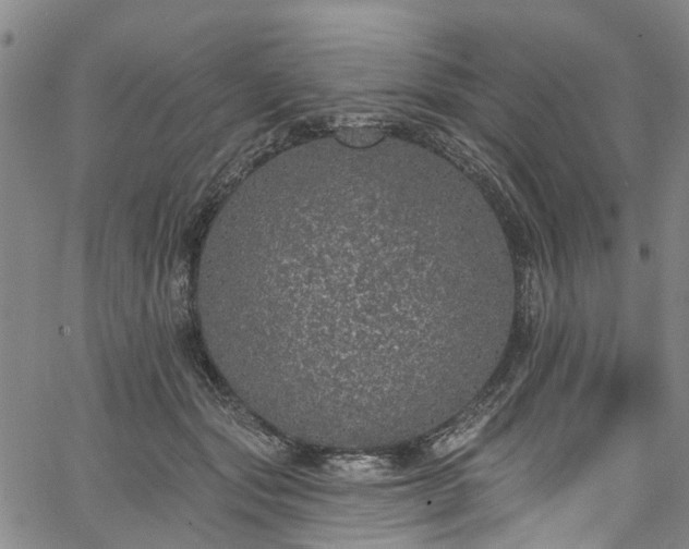 X0000067900557200604201337