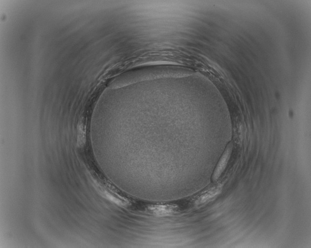 X0000067900558200604201337