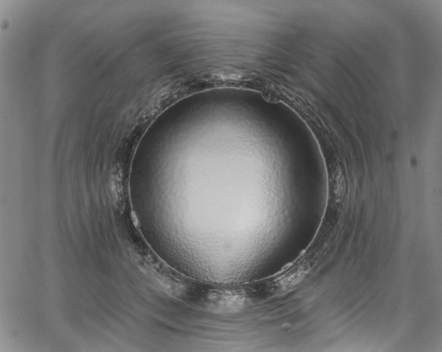 X0000067900559200604201338