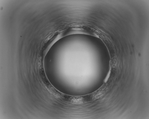 X0000067900560200604201338