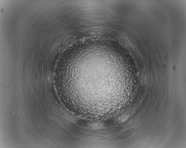 X0000067900561200604201338