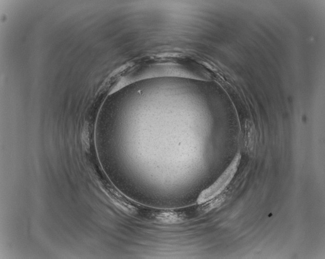 X0000067900562200604201338