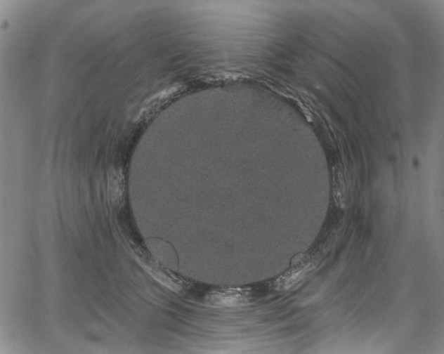 X0000067900563200604201338