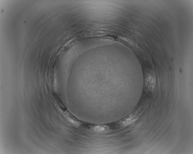 X0000067900566200604201338