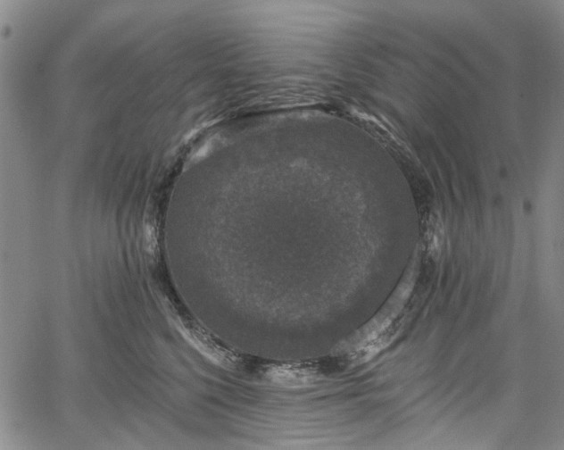 X0000067900568200604201338