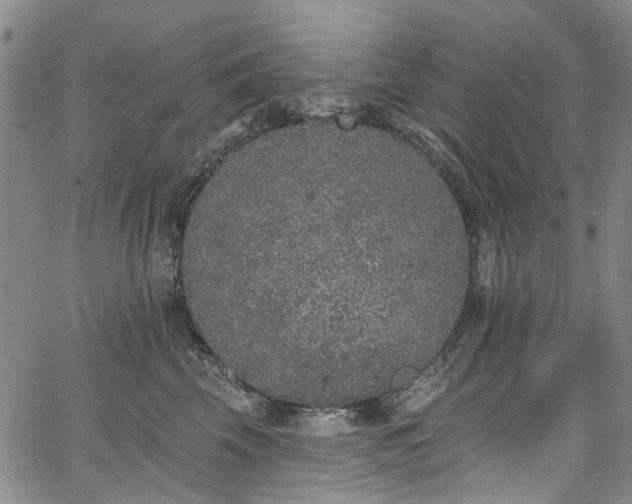 X0000067900569200604201338