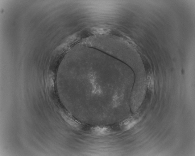 X0000067900570200604201338