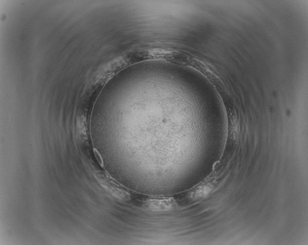 X0000067900571200604201338