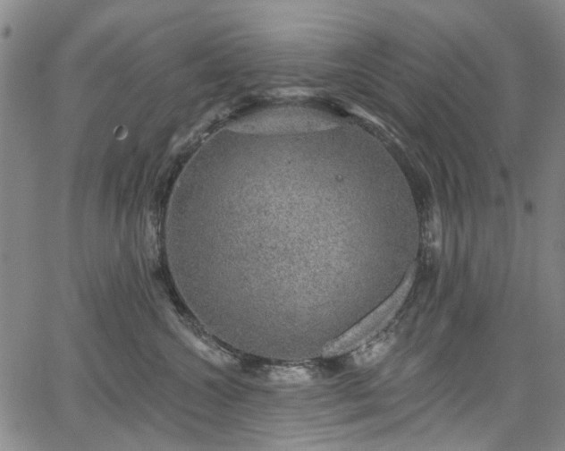 X0000067900572200604201338