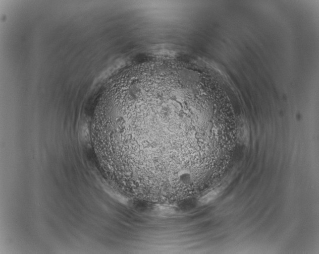 X0000067900573200604201338