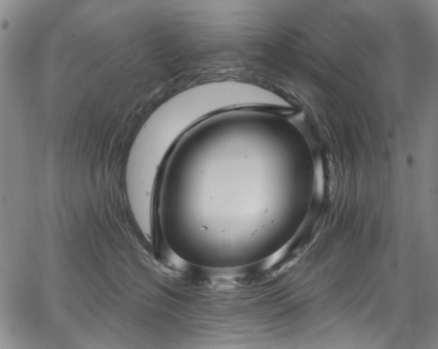 X0000067900574200604201338