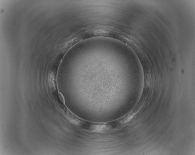 X0000067900575200604201338